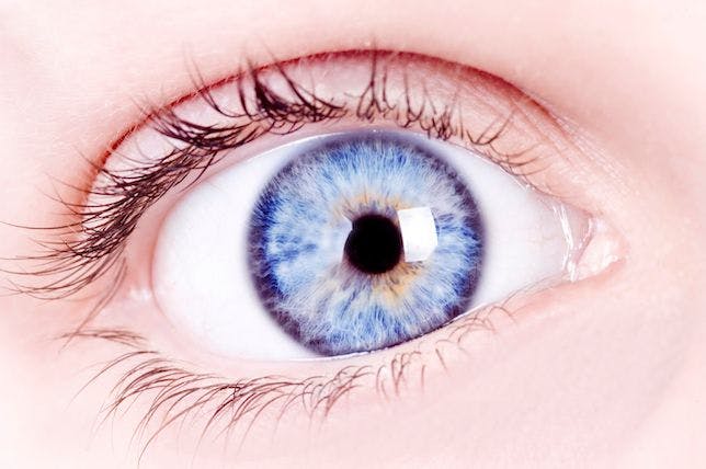 Take a Closer Look at Eye Exams