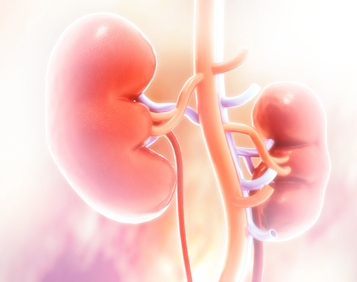 FDA Accepts sNDA for Jardiance as Potential Treatment for Chronic Kidney Disease