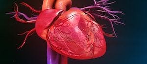 Common Heart Disorder Linked to Low-Carb Diet