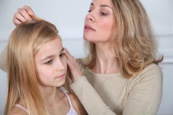 Pesticide Free Head Lice Treatment Launched