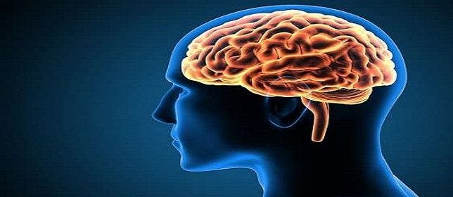 Second Type of Neuroanatomical Schizophrenia Discovered